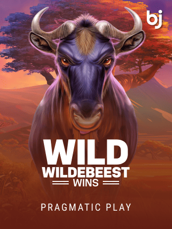Wild Wildebeest Wins